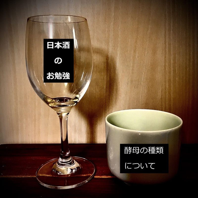 【酵母】酵母のおはなし。日本酒の味は酵母の種類によって全然変わってくる！！ | きき酒ダイアリー